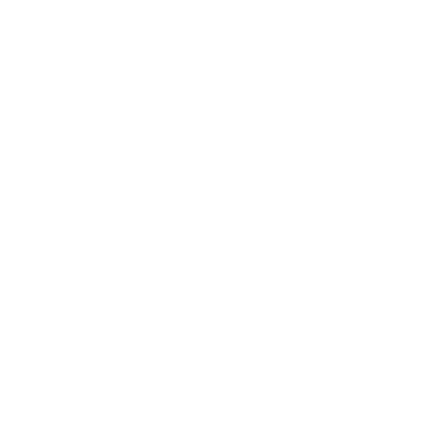 BMW Motorrad logo