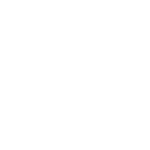 Etnies logo