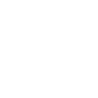 Salomon logo
